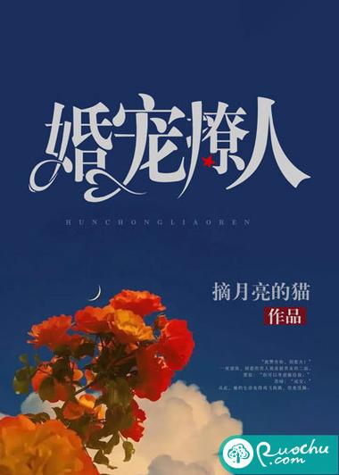 司火之王在线阅读缩略图