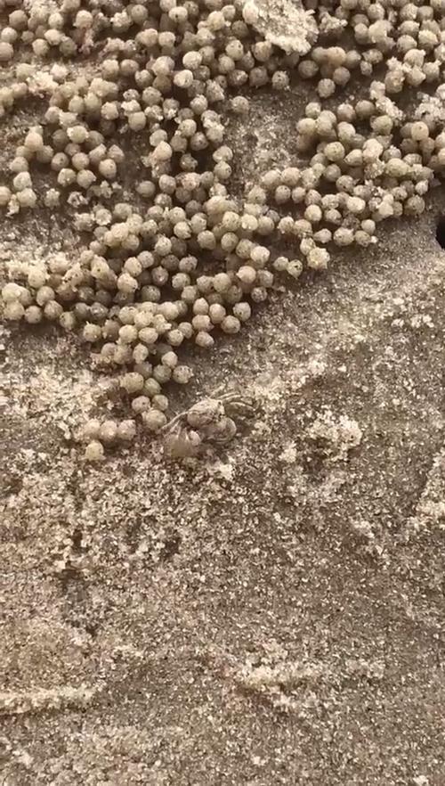 你家开矿的啊什么意思缩略图