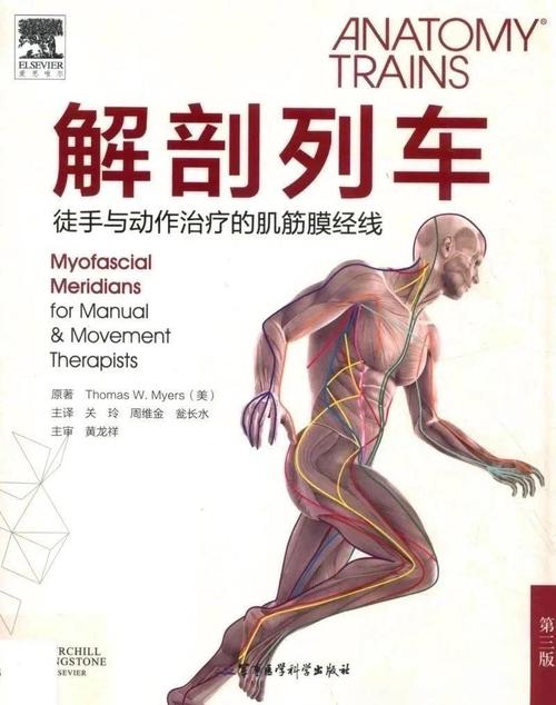 筋膜提升多久恢复缩略图