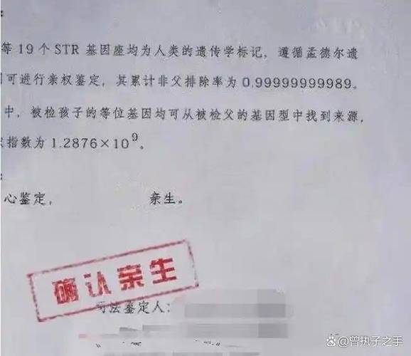 三次亲子鉴定之谜