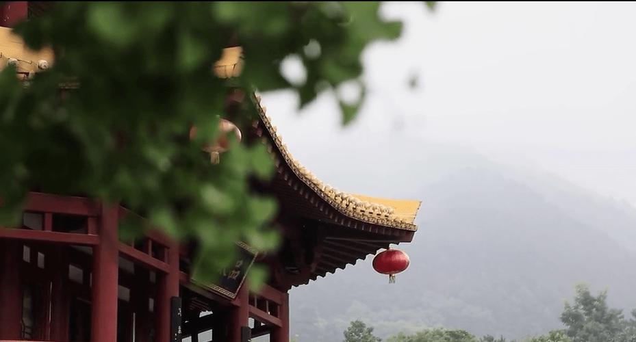 太极观山官网入口www.cntjq.net游戏截图
