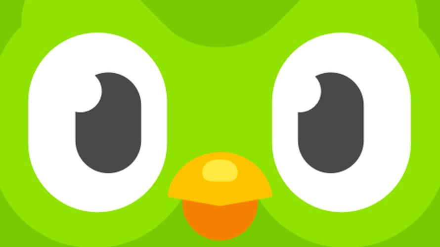 猫头鹰app官网缩略图