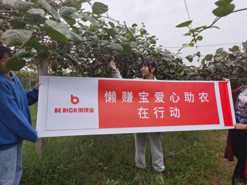 懒赚宝靠谱吗缩略图