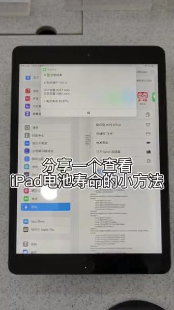 ipad如何查询电池健康极速版2023游戏截图