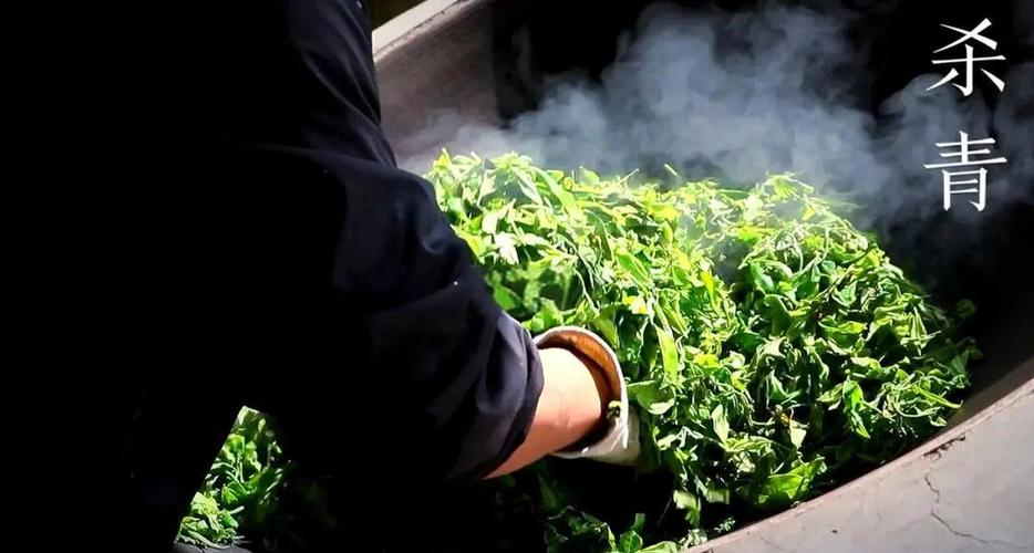 茶叶杀青的正确方法图标
