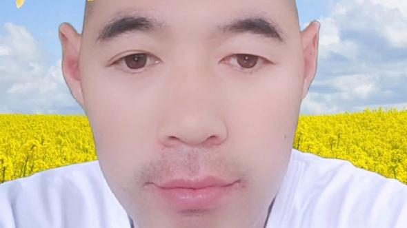 蛋哥影视图标