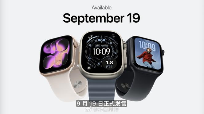 series官网游戏截图