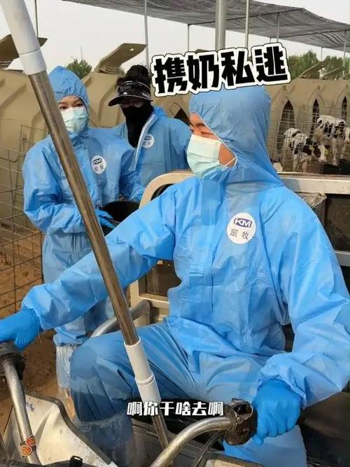 奶牛直播间现场直播缩略图