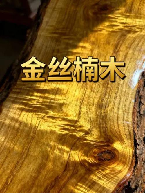 真正金丝楠木图片图标
