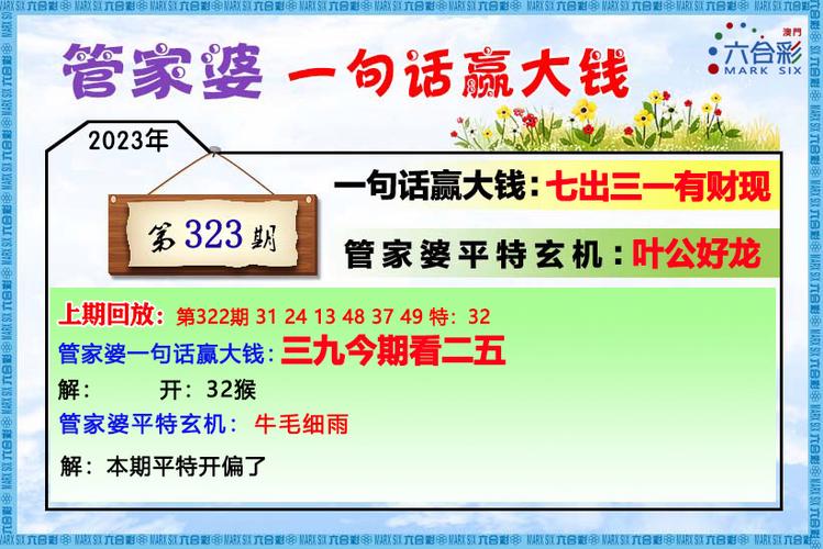 大赢家4949免费资料游戏截图