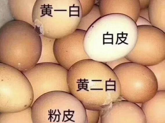 黄一皮黄二皮怎么区分