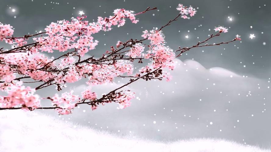 梅花视频大屏素材缩略图