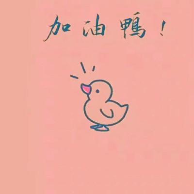 今天也要加油鸭头像缩略图