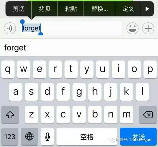 苹果自带的词典怎么打开缩略图