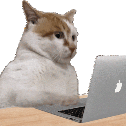 文字猫打字赚钱缩略图