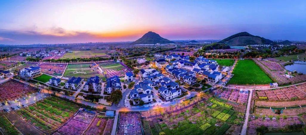 桃源村村民喜好最新2025缩略图