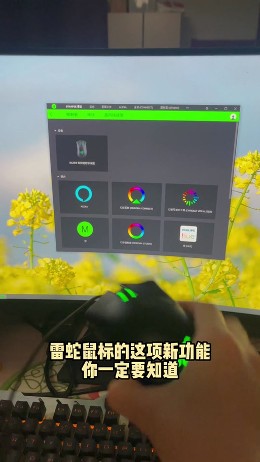 压枪宏文件游戏截图