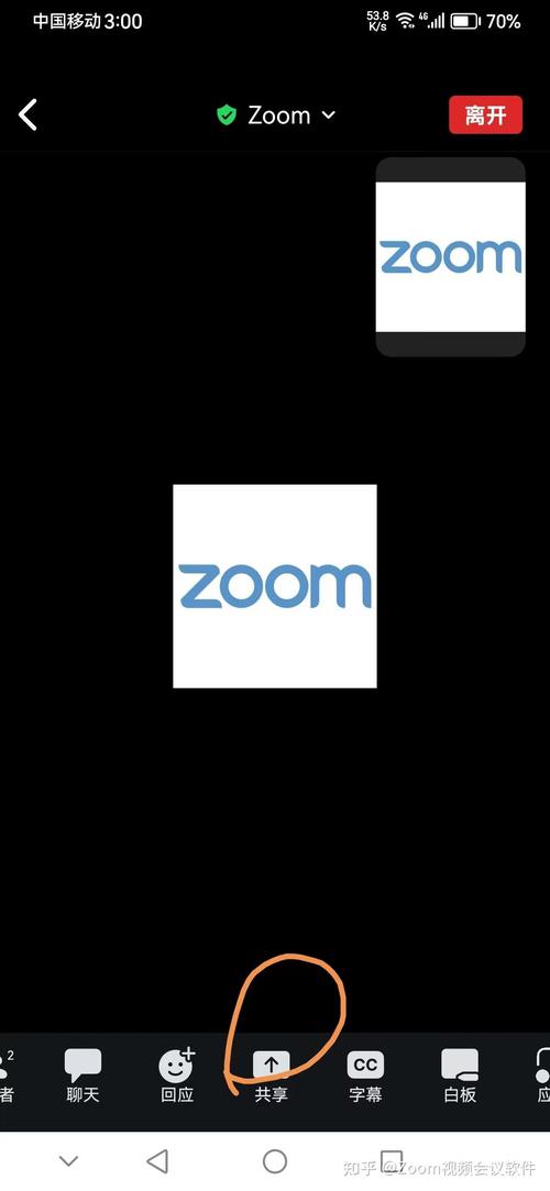 ZOOM无法共享屏幕