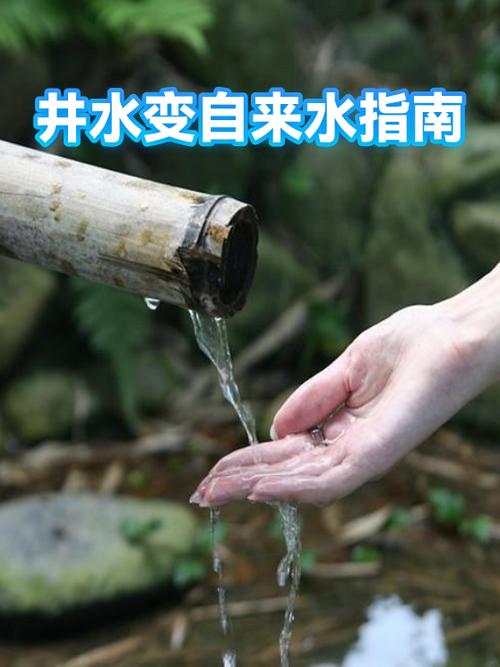 自来水公众号图标