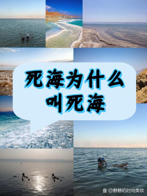 thiswarofmine游戏图标