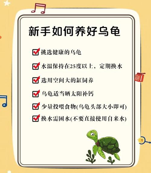 怎么判断乌龟生病了