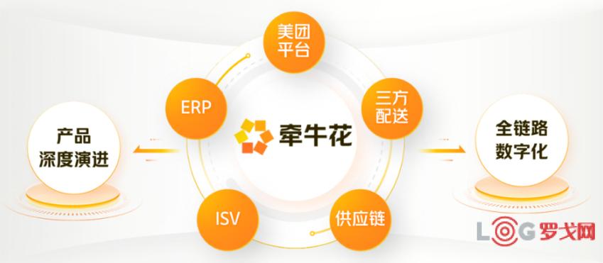 牵牛花是什么平台