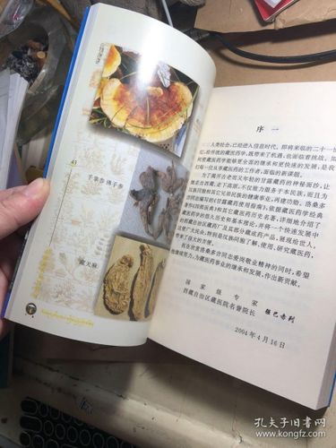 家长会把手机藏在哪儿图标