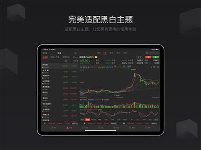 同花顺ipad版本缩略图
