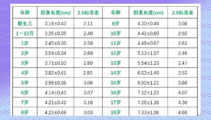 正常男性的长度多少算是标准图标