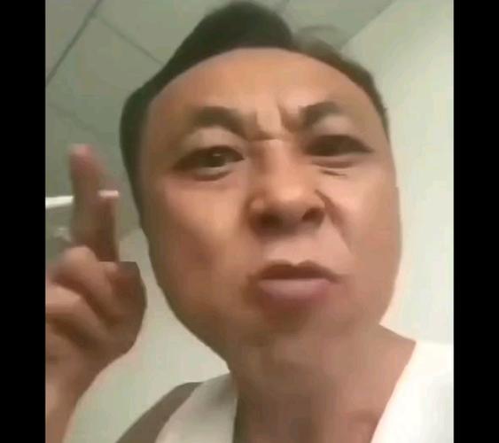 神鹰哥原版视频素材游戏截图