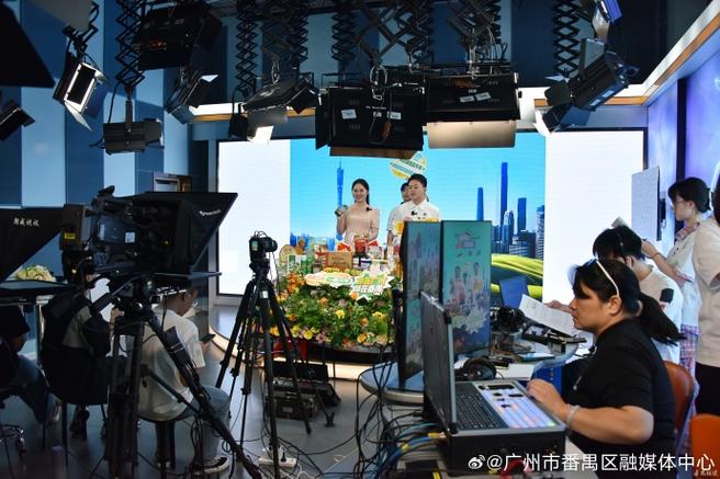 广州电视台直播在线观看缩略图