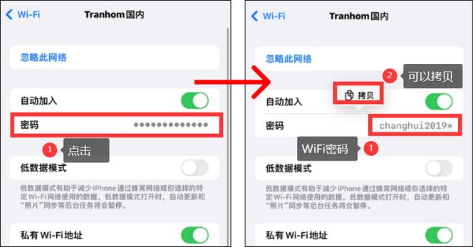 苹果手机怎么查看自己无限的密码图标