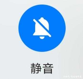 苹果手机无缘无故自动静音了图标
