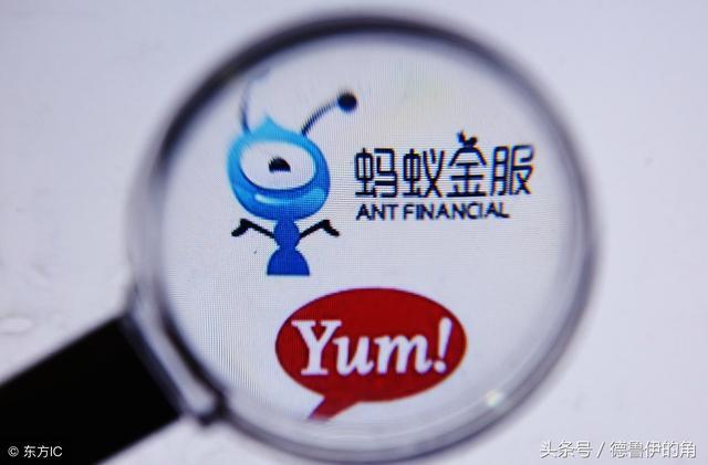 支付宝蚂蚁微客缩略图