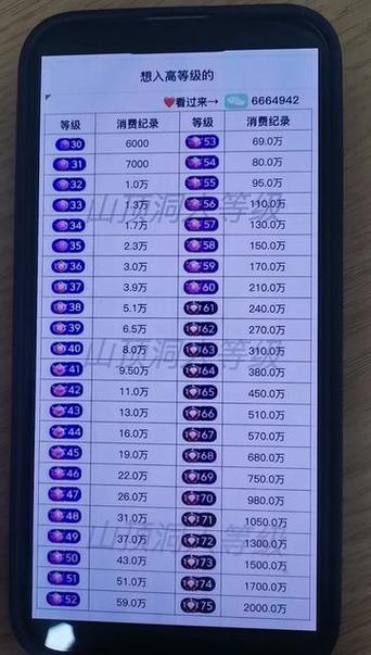 抖音等级价目表1-75级游戏截图