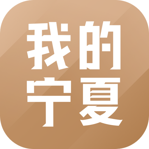 我的宁夏免费下载安装缩略图
