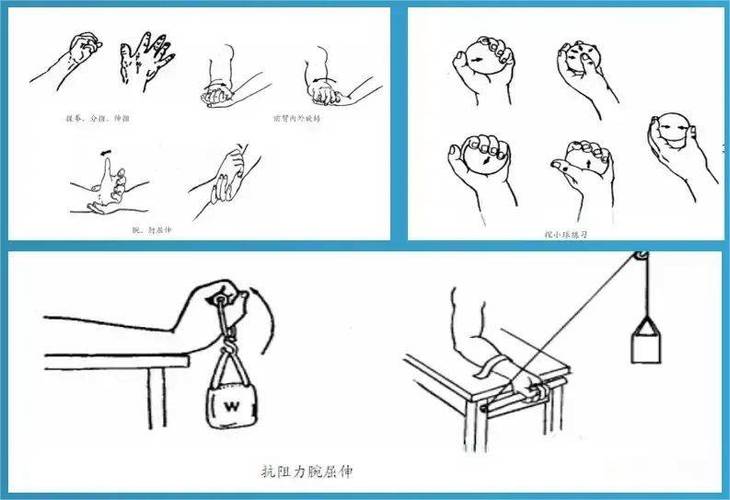 手指截肢后多久能彻底恢复