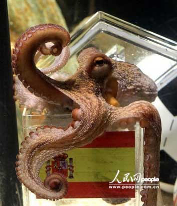 帝章鱼图标