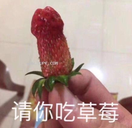 《请吃草莓》游戏截图