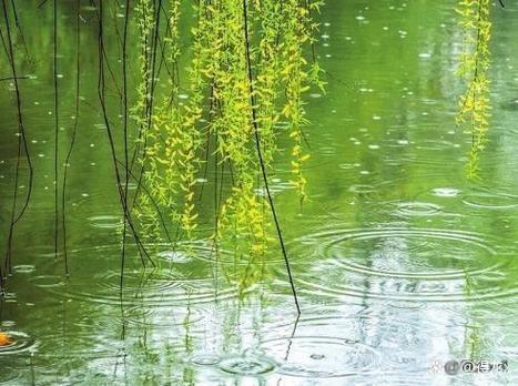 春雨全集免费游戏截图