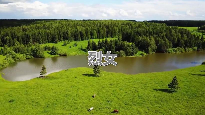 如梦的视频图标