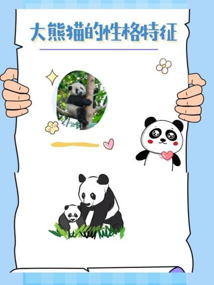 熊猫搜书txt官网入口图标