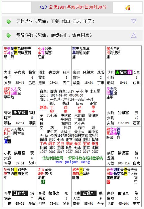 紫微斗数文墨天机缩略图