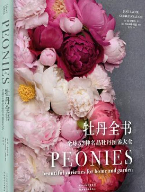 牡丹花图片大全图标