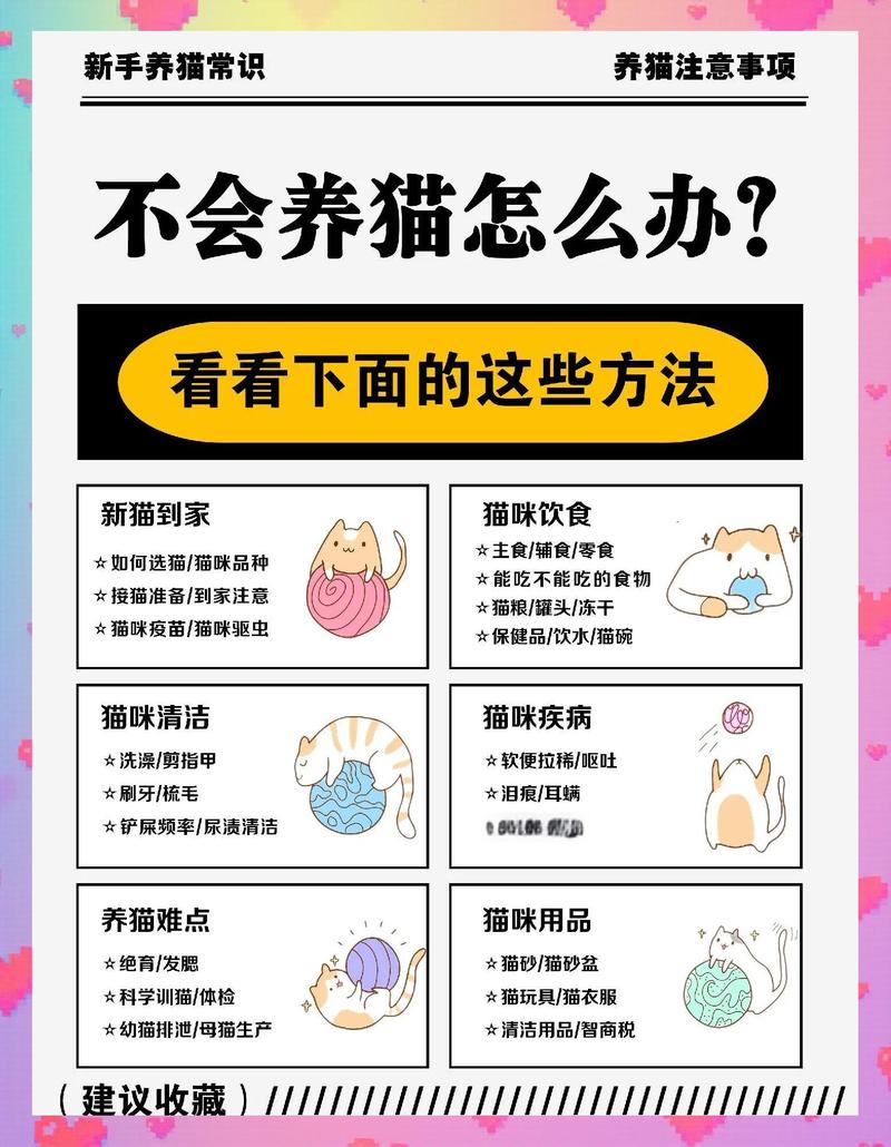 怎样洗脑父母养猫