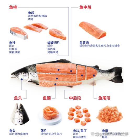 三文鱼冷冻后解冻可以生吃吗图标