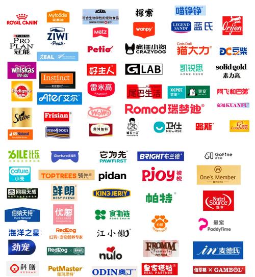 clos是杂牌子还是名牌游戏截图