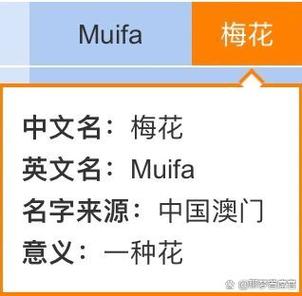梅花app改名后叫什么名字缩略图