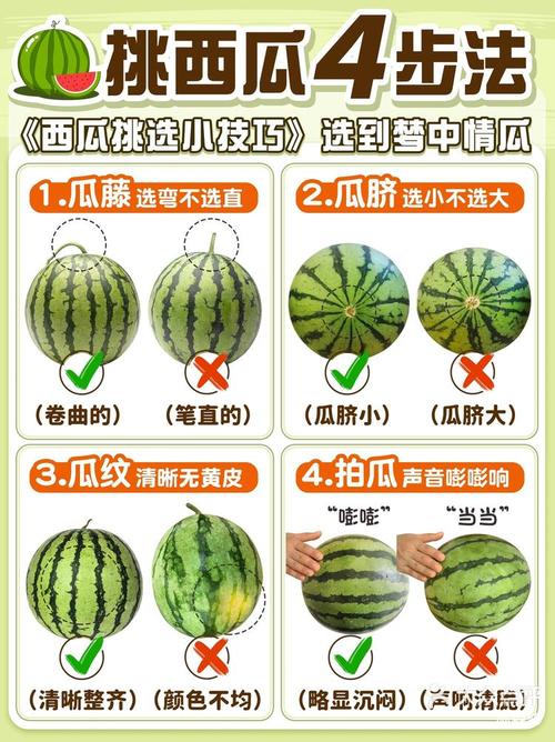 西瓜视频100西瓜币值多少钱游戏截图