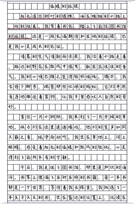 遇见的作文600字初中图标